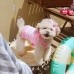 썸네일(스크롤)