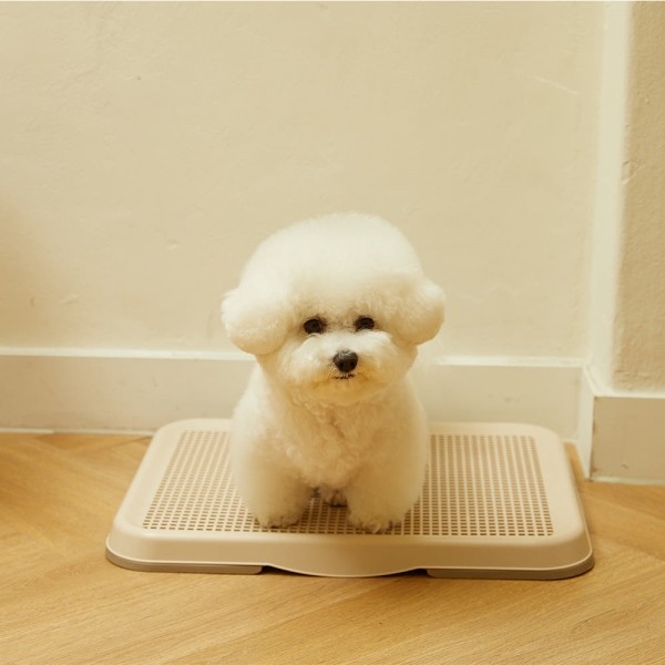 페오펫몰,페페츠 강아지 배변판 소형 51cm x 41cm