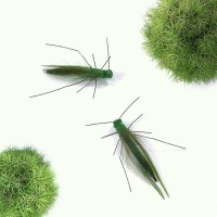 크레용펫 리얼 메뚜기 낚시대 리필