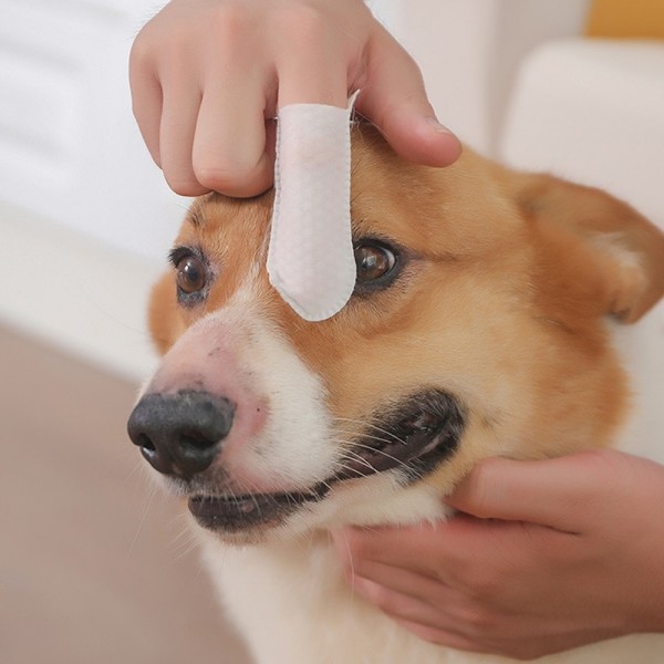 페오펫몰,크레용펫 눈,귀,입 쓱싹 핑거 티슈 60매