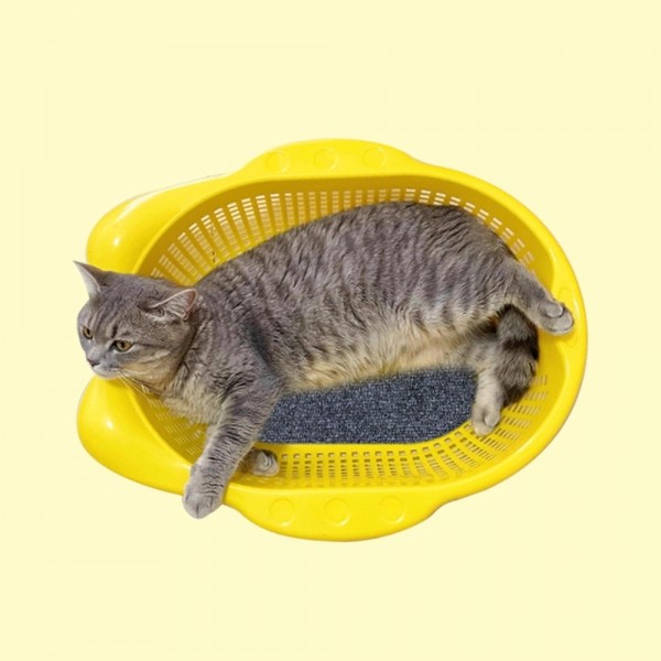 페오펫몰,크레용펫 냥냥 소쿠리 바구니 (2color)