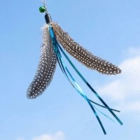 크레용펫 리얼버드 빅 깃털 회전 리필