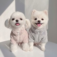 크레용펫 폭닥 파스텔 보아털 강아지 겨울옷 후리스 2color