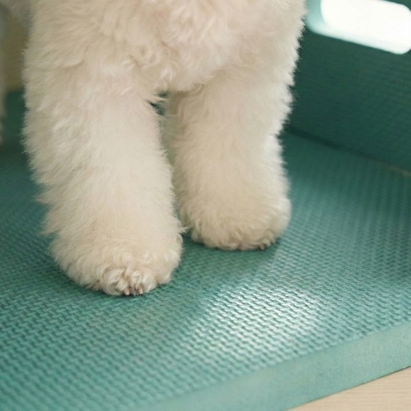 페오펫몰,크레용펫 코지 폼 하우스 대형 강아지 집