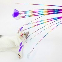 크레용펫 1타15피 무지개 카샤카샤 낚시대 스틱