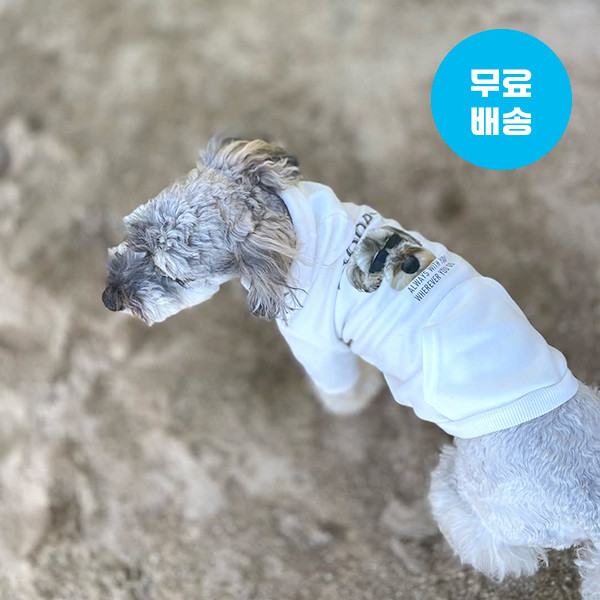 페오펫몰,반려동물 사진 그림 강아지옷 고양이옷 주문제작 반려동물 후드