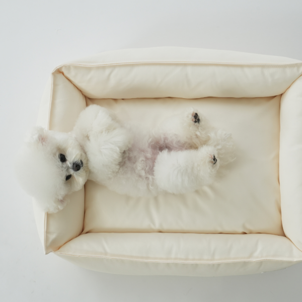 페오펫몰,[펫앤마마] 파스텔 강아지 방석 쿠션 3종 (라이트블루/라이트핑크/라이트옐로우) M~XL