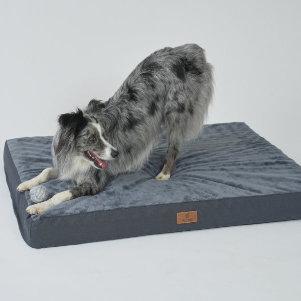 페오펫몰,[펫앤마마] 대형견 강아지 방석 쿠션 01 2종 (그레이/진그레이) L~2XL