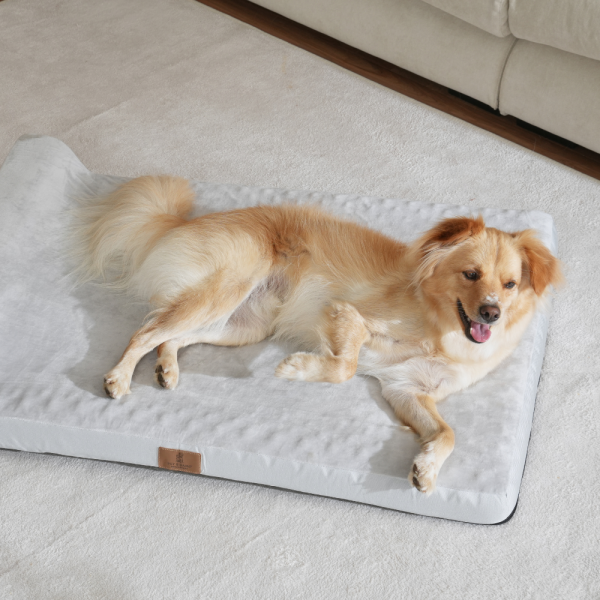 페오펫몰,[펫앤마마] 대형견 강아지 방석 베개 쿠션 02 2종 (그레이/진그레이) L~2XL