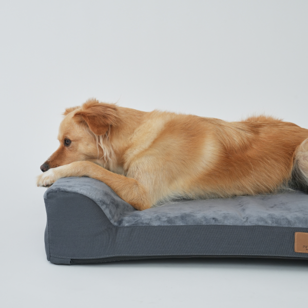 페오펫몰,[펫앤마마] 대형견 강아지 방석 베개 쿠션 02 2종 (그레이/진그레이) L~2XL