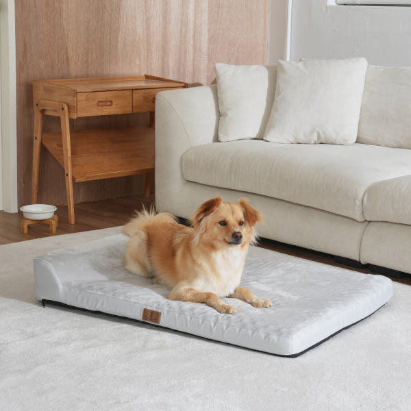 페오펫몰,[펫앤마마] 대형견 강아지 방석 베개 쿠션 02 2종 (그레이/진그레이) L~2XL