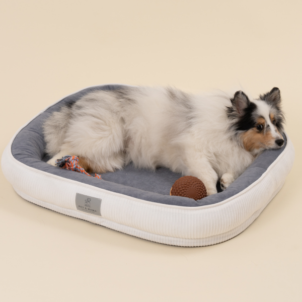 [펫앤마마][새해특가] 강아지 방석 쿠션 3종 (화이트/오렌지/블루) M~2XL