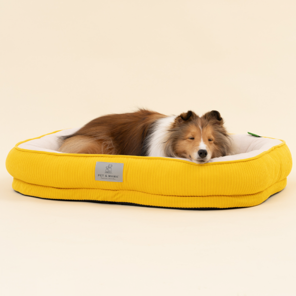 페오펫몰,[펫앤마마] 강아지 방석 쿠션 3종 (더스티블루/로즈브라운/딥옐로우) M~2XL