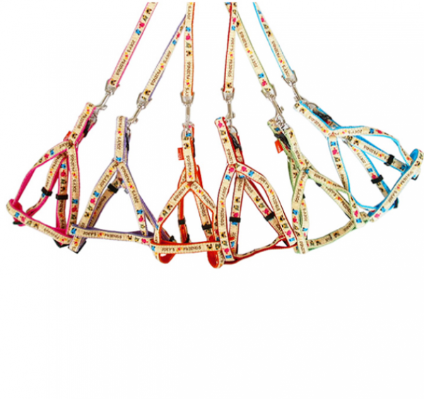 페오펫몰,[펫츠컴퍼니] 조이 목줄 하네스 캣하네스 트윈리드줄 (색상랜덤) [최저가]