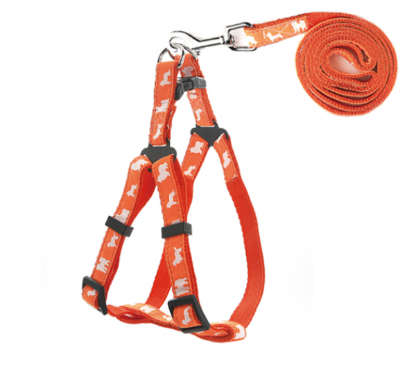 페오펫몰,[펫츠컴퍼니] 도그프린팅 목줄 하네스 세트 (색상랜덤) [최저가]