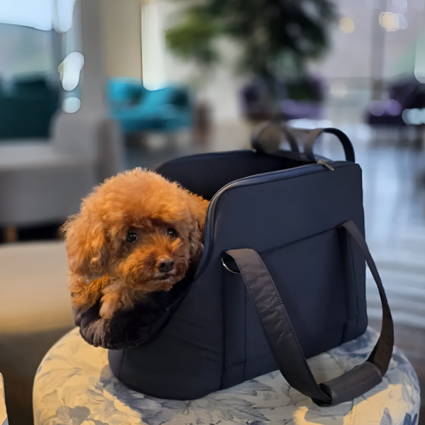 페오펫몰,[스윗테일][설날특가] 핸드메이드 강아지이동가방 비비드토이백 [반려동물]