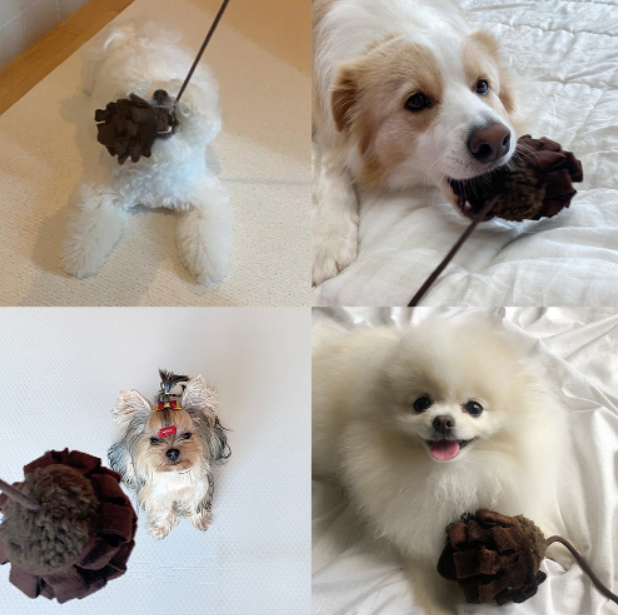 푼푼 솔방울 장난감 (노즈워크,터그장난감, 강아지공)