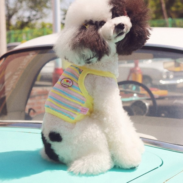 페오펫몰,알라메종 여름신상 가볍게 입기 좋은 강아지명품 나시 산타모니카 선셋 슬리브리스
