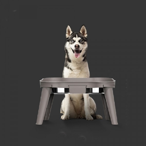 페오펫몰,레드퍼피 스탠다드 스텐식기