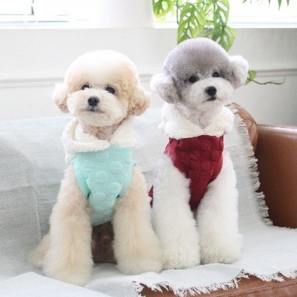 페오펫몰,레드퍼피 바니걸스후드탑
