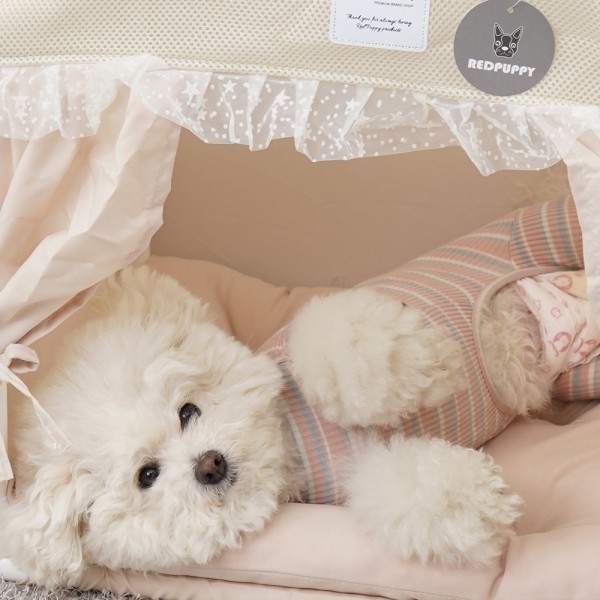 페오펫몰,레드퍼피 아이스하우스