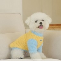 레드퍼피 머레인탑 패션용품 패션 옷 점퍼 티 따뜻한 야간 여름 비옷