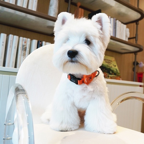 페오펫몰,레드퍼피 콘포목줄세트[리드줄포함] 목줄 강아지산책 리드줄 강아지리드줄 강아지목줄 애견리드줄 애견목줄