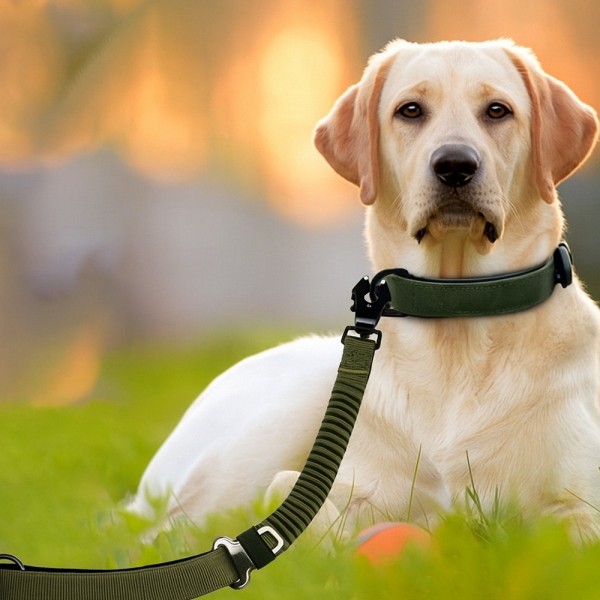 페오펫몰,레드퍼피 킨더 탄력리드줄 목줄 강아지산책 리드줄 강아지리드줄 강아지목줄 애견리드줄 애견목줄