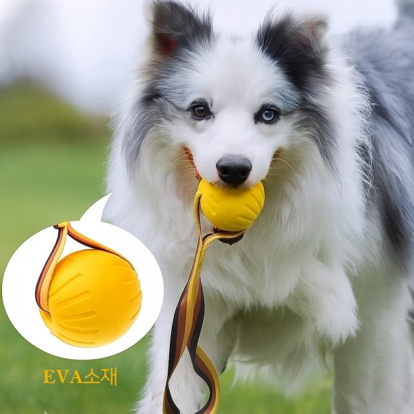 페오펫몰,레드퍼피 트롤볼장난감 노즈워크 삑삑이 애견훈련 공