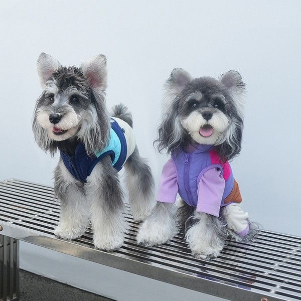 페오펫몰,레드퍼피 갤러리 배색조끼 [S~2XL] 점퍼 패션용품 패션 옷 점퍼 티 따뜻한 야간 여름 비옷