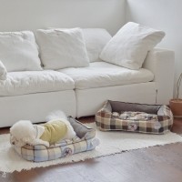 레드퍼피 켄터쿠션[팔각,사각] 강아지방석 강아지침대 애견침대 여름방석 침대 시원한 유모차방석