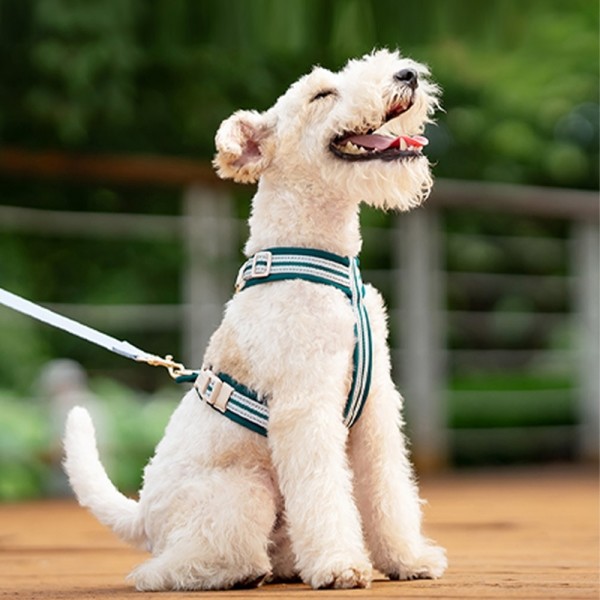 페오펫몰,레드퍼피 벨트 하네스[S~XL] 목줄 강아지산책 리드줄 강아지리드줄 강아지목줄 애견리드줄 애견목줄