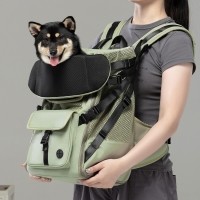 레드퍼피 테스토 백팩 애견이동가방 고양이가방 강아지가방 이동장 가방