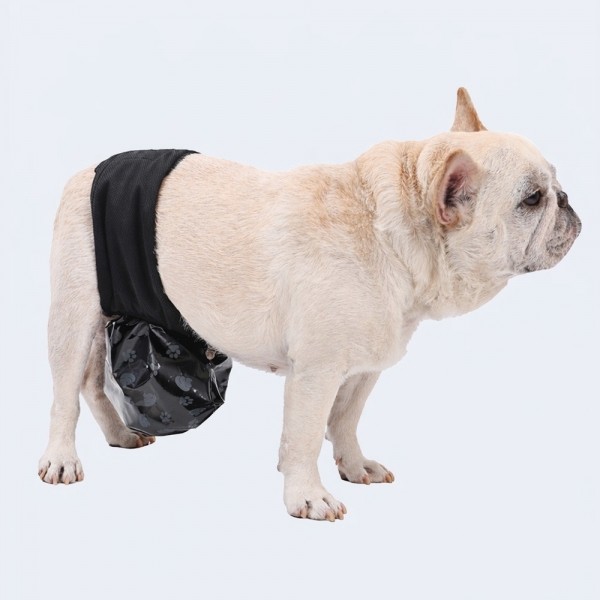 레드퍼피 니보니 매너밸트