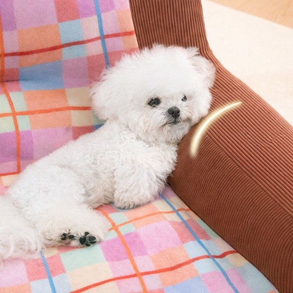 페오펫몰,레드퍼피 에쉴린 쿠션소파 강아지하우스 애견하우스 강아지집 하우스 애견집 고양이하우스 텐트 애견텐트