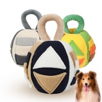 레드퍼피 펜타곤 터그놀이공 간식볼 장난감 노즈워크 삑삑이 애견훈련 공