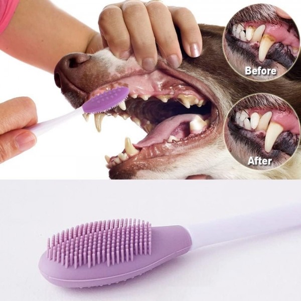 페오펫몰,레드퍼피 치카치카 펫 치석제거 칫솔(5입) 손가락물티슈 강아지구강건강 칫솔 양치도구