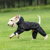 레드퍼피 투인원 레인코트 패션용품 패션 옷 점퍼 티 따뜻한 야간 여름 비옷