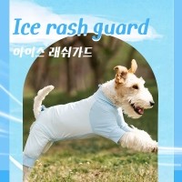 레드퍼피 아이스 래쉬가드 패션용품 패션 옷 점퍼 티 따뜻한 야간 여름