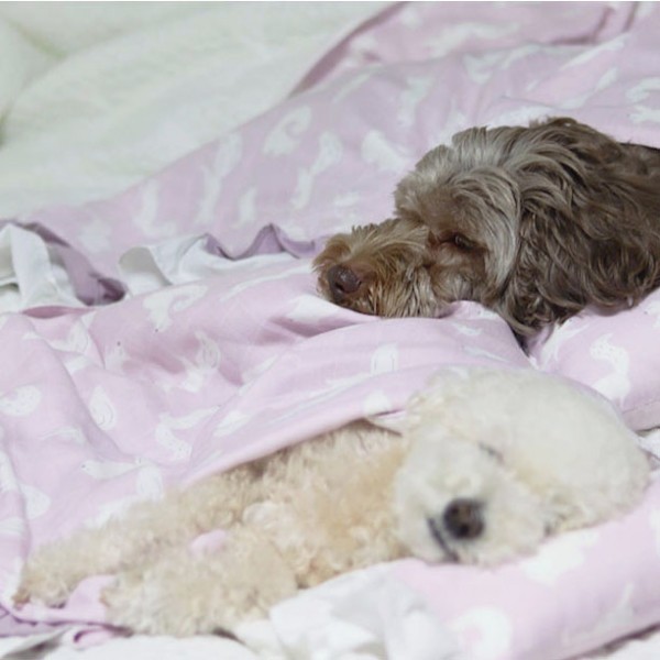 페오펫몰,실키밤부 블랭킷&필로우 SET (2SIZE)