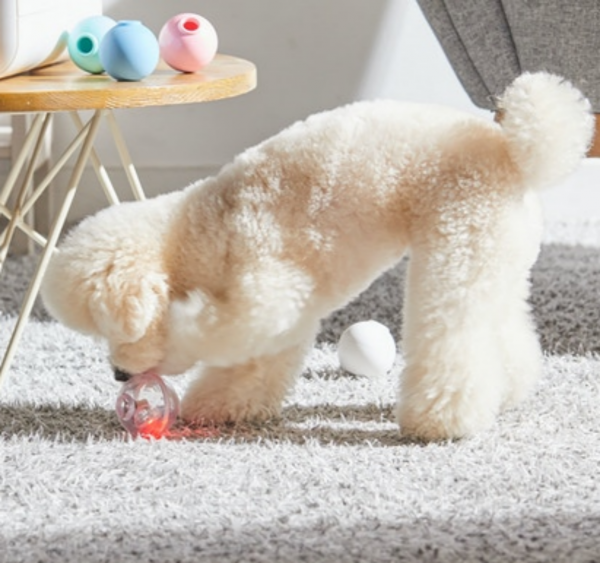 페오펫몰,[무럭무럭특가]로이코 강아지 고양이 자동 급식기 혼자있는 강아지 장난감 분리불안 훈련 노즈워크 공 자동 지급기 트릿토이