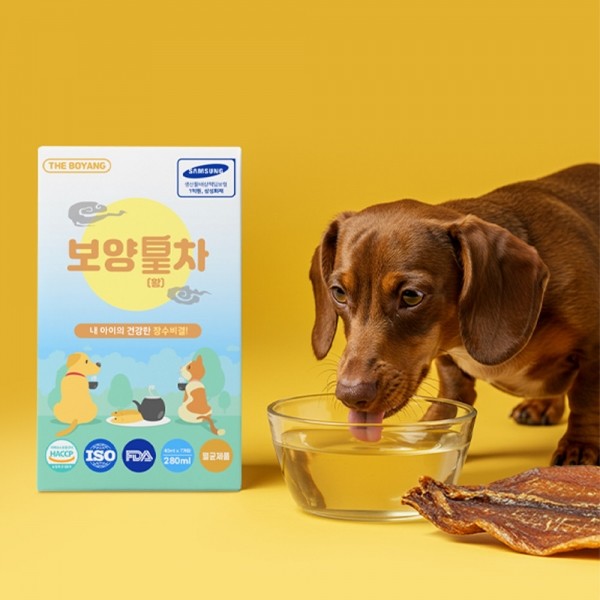 [댕린이특가]더보양 강아지 고양이 보약 영양음료 보양황차 40ml x 21개
