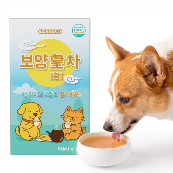 페오펫몰,[댕캉스특가]더보양 강아지 고양이 보약 영양음료 보양황차 40ml x 21개