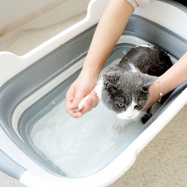 페오펫몰,[애구애구] 강아지 고양이 셀프 목욕통 스파 접이식 욕조 [최저가]