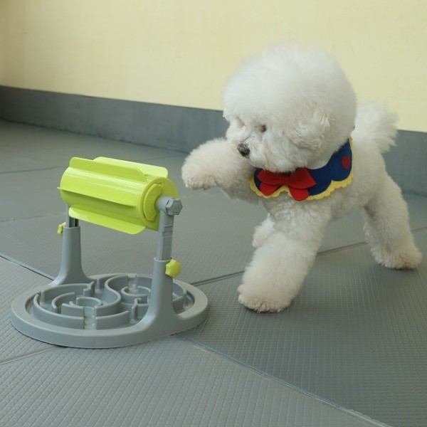 페오펫몰,[봄산책특가] 펫트너스 노즈워크 돌돌이 강아지 고양이 장난감 분리불안 훈련