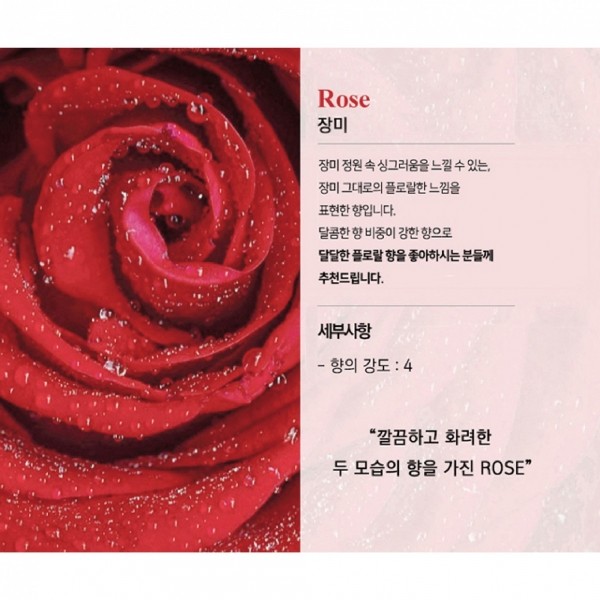 페오펫몰,미트유 대용량 반려동물 강아지 고양이 디퓨저 실내 리필 방향제 플라워 500ml