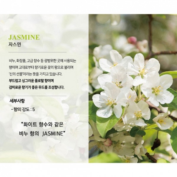 페오펫몰,미트유 대용량 반려동물 강아지 고양이 디퓨저 실내 리필 방향제 플라워 500ml