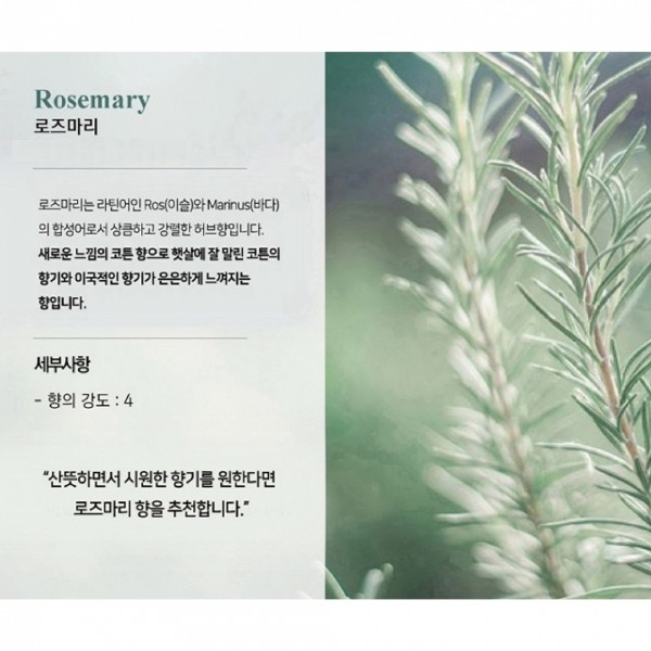 페오펫몰,미트유 대용량 반려동물 강아지 고양이 디퓨저 실내 리필 방향제 플라워 500ml