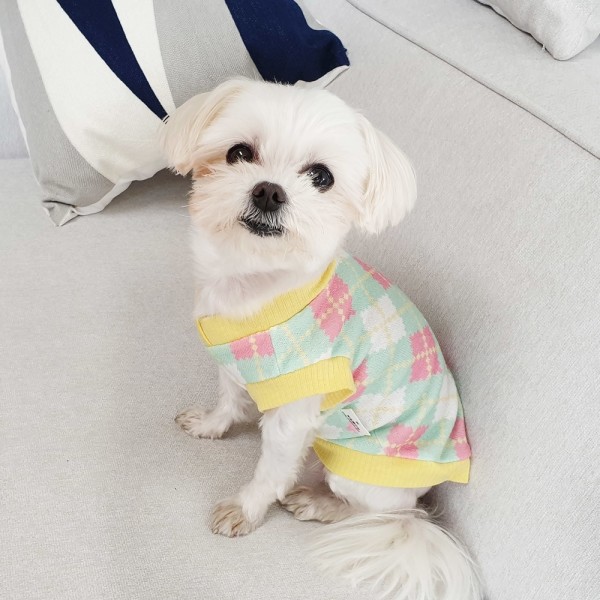 페오펫몰,아가일티셔츠 강아지옷 실내복 강아지명품옷 애견옷
