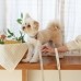썸네일(스크롤)